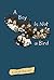 A Boy Is Not a Bird