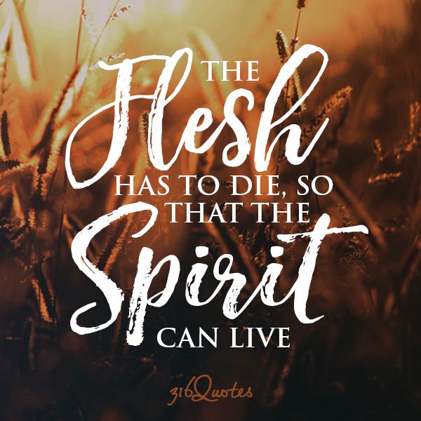 The Flesh and the Spirit