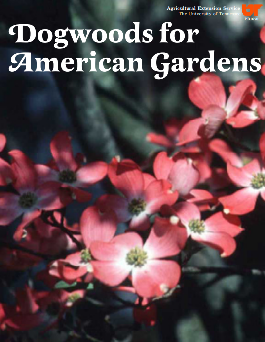 Dogwoods for American Gardens