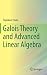 Galois Theory and Advanced Linear Algebra