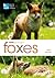 RSPB Spotlight: Foxes