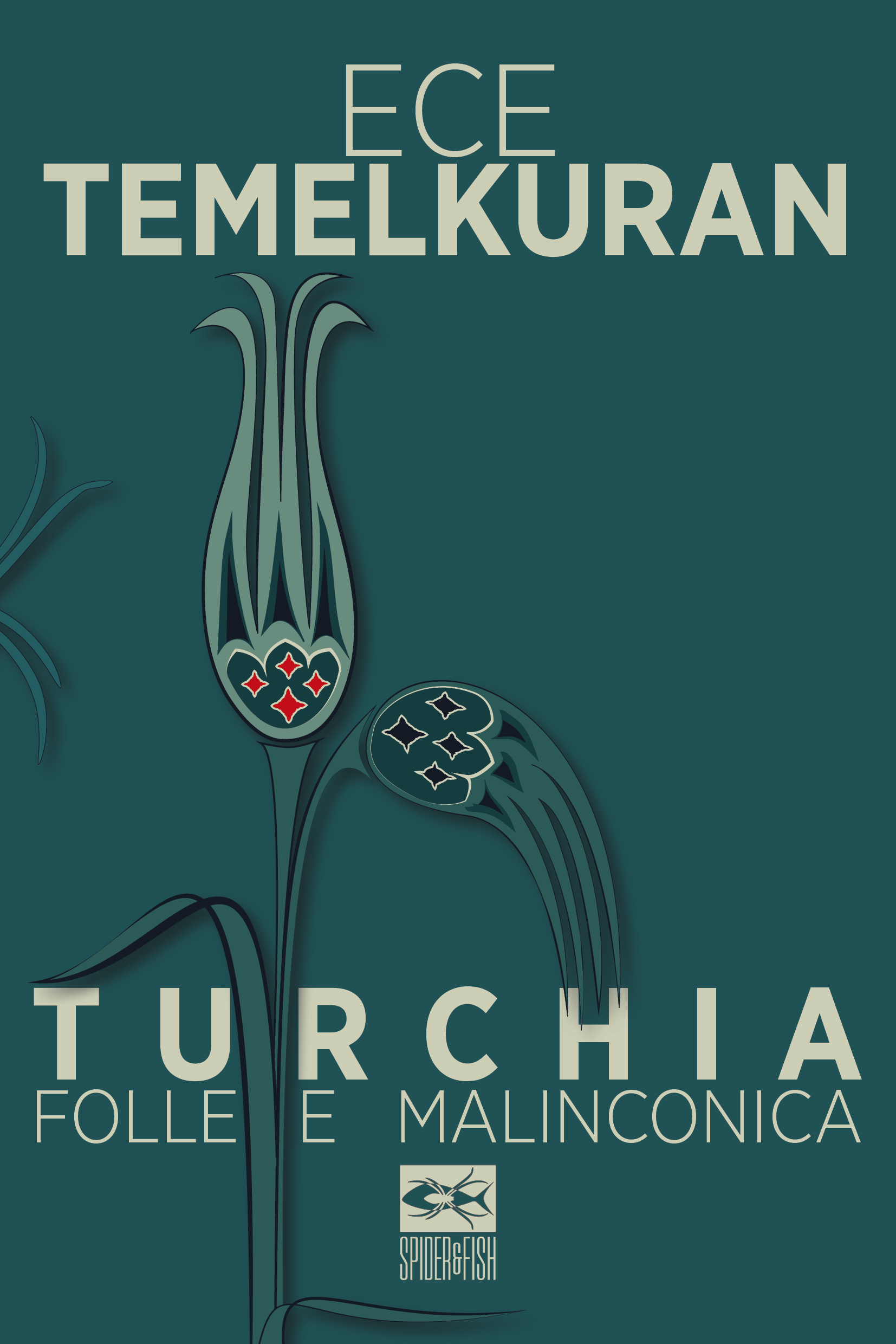 Turchia folle e malinconica