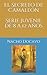 El Secreto de Camaleón. Serie juvenil de 8 a 12 años (Las ave... by Nacho Docavo