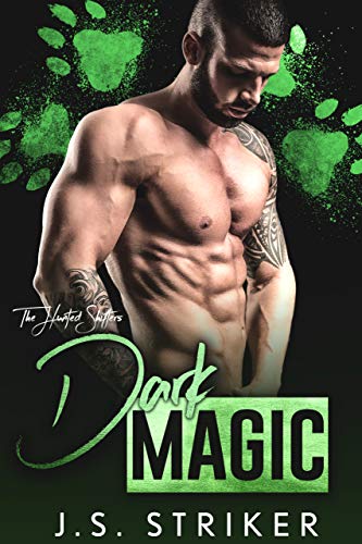 Dark Magic (The Hunted Shifters #3)