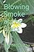 Blowing Smoke at the Stars by Jan McCarthy