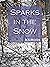 Sparks in the Snow (Firewor...