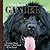 A Dog Named GANDER