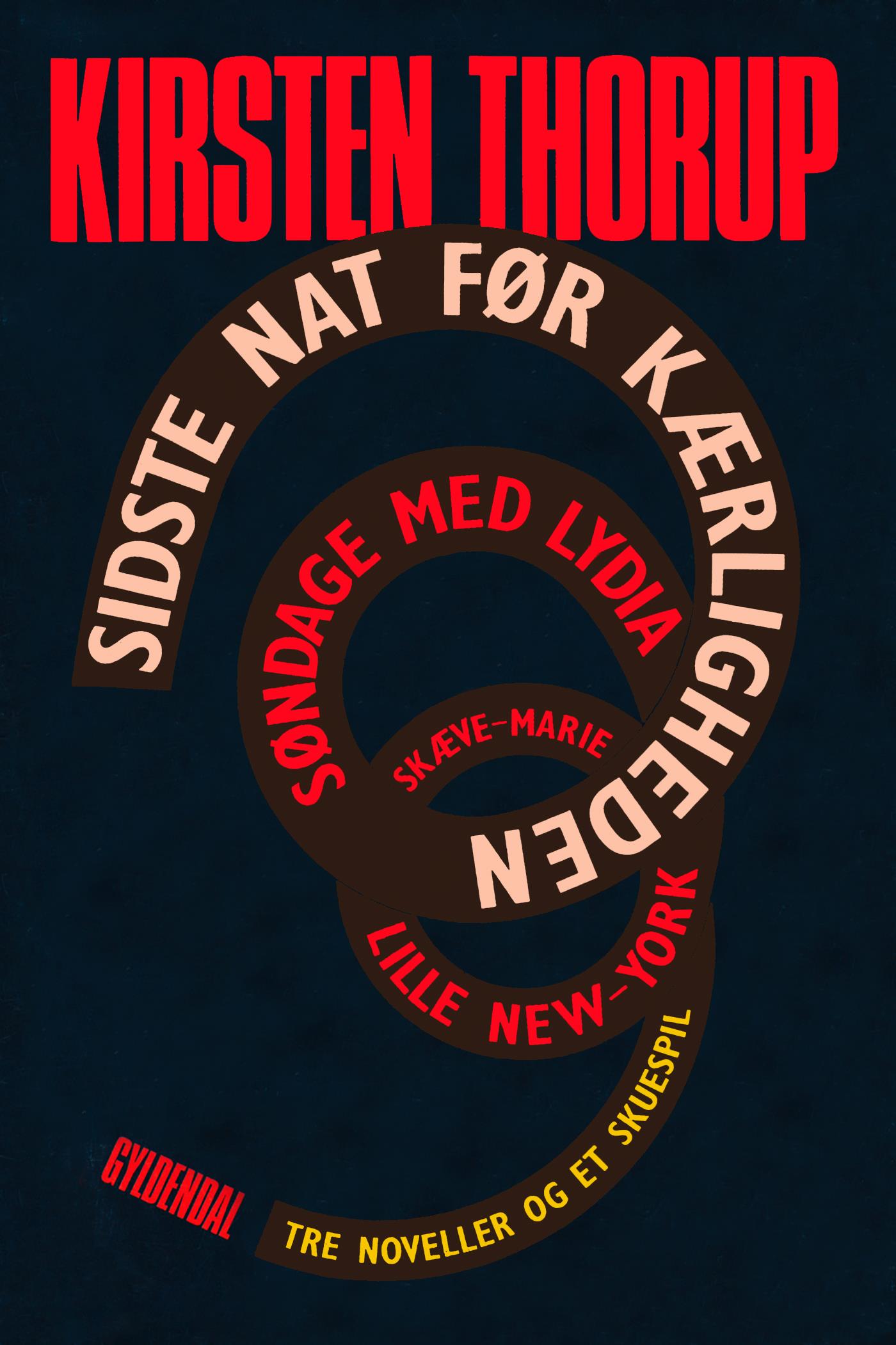 Sidste nat før kærligheden (ebook)