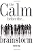 The Calm Before the Brainstorm by Stevie Ray