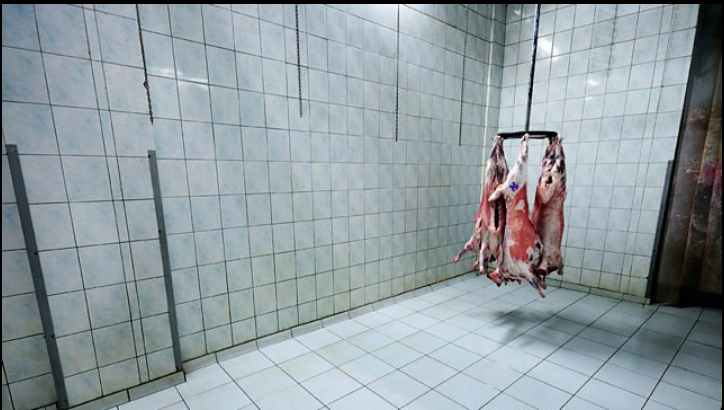 Cold Storage