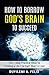 How To Borrow God's Brain To Succeed by Duyilemi Akindele Felix