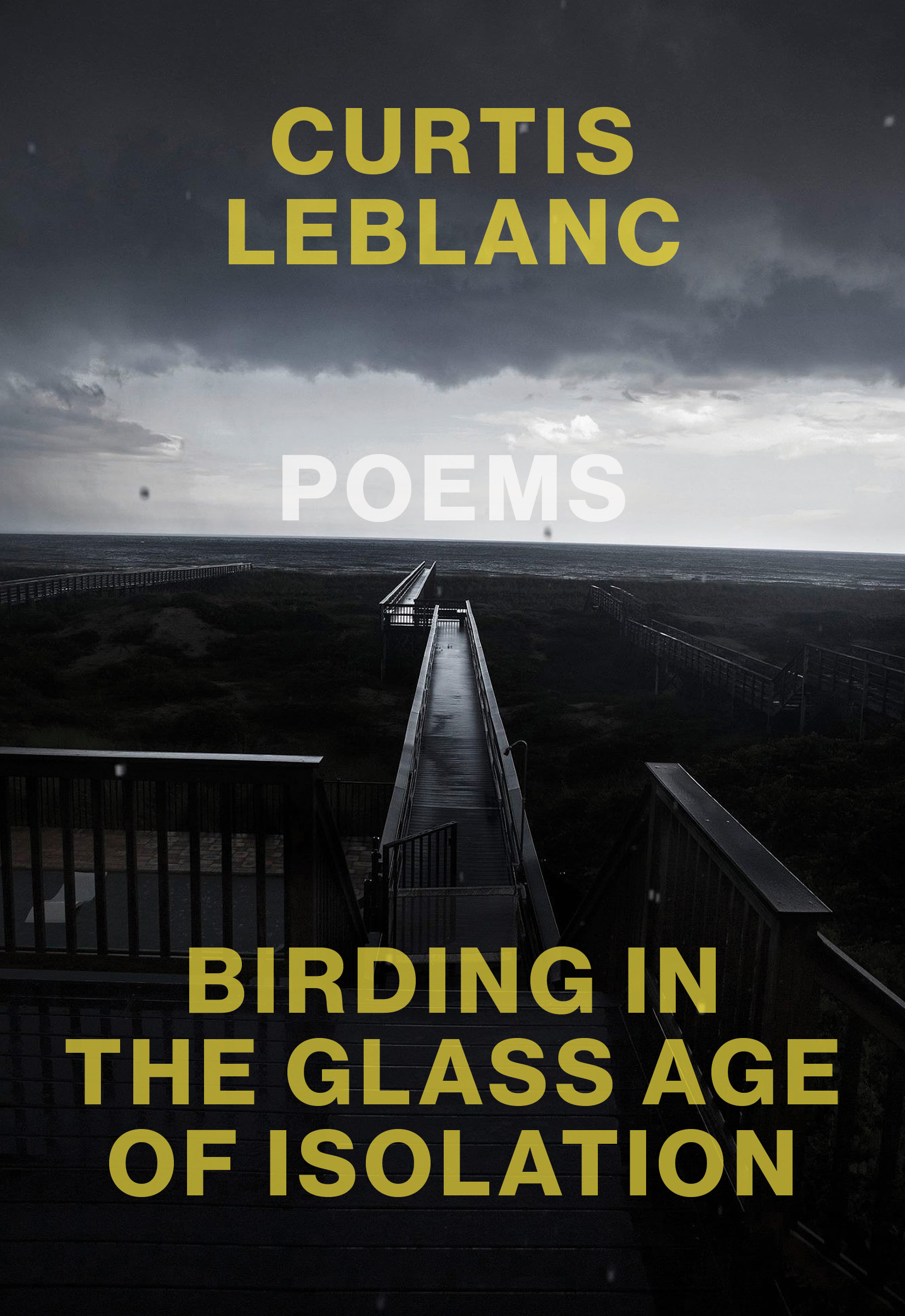 Birding in the Glass Age of Isolation (Paperback)