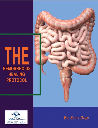 The Hemorrhoids Healing Protocol