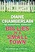 Big Lies in a Small Town by Diane Chamberlain