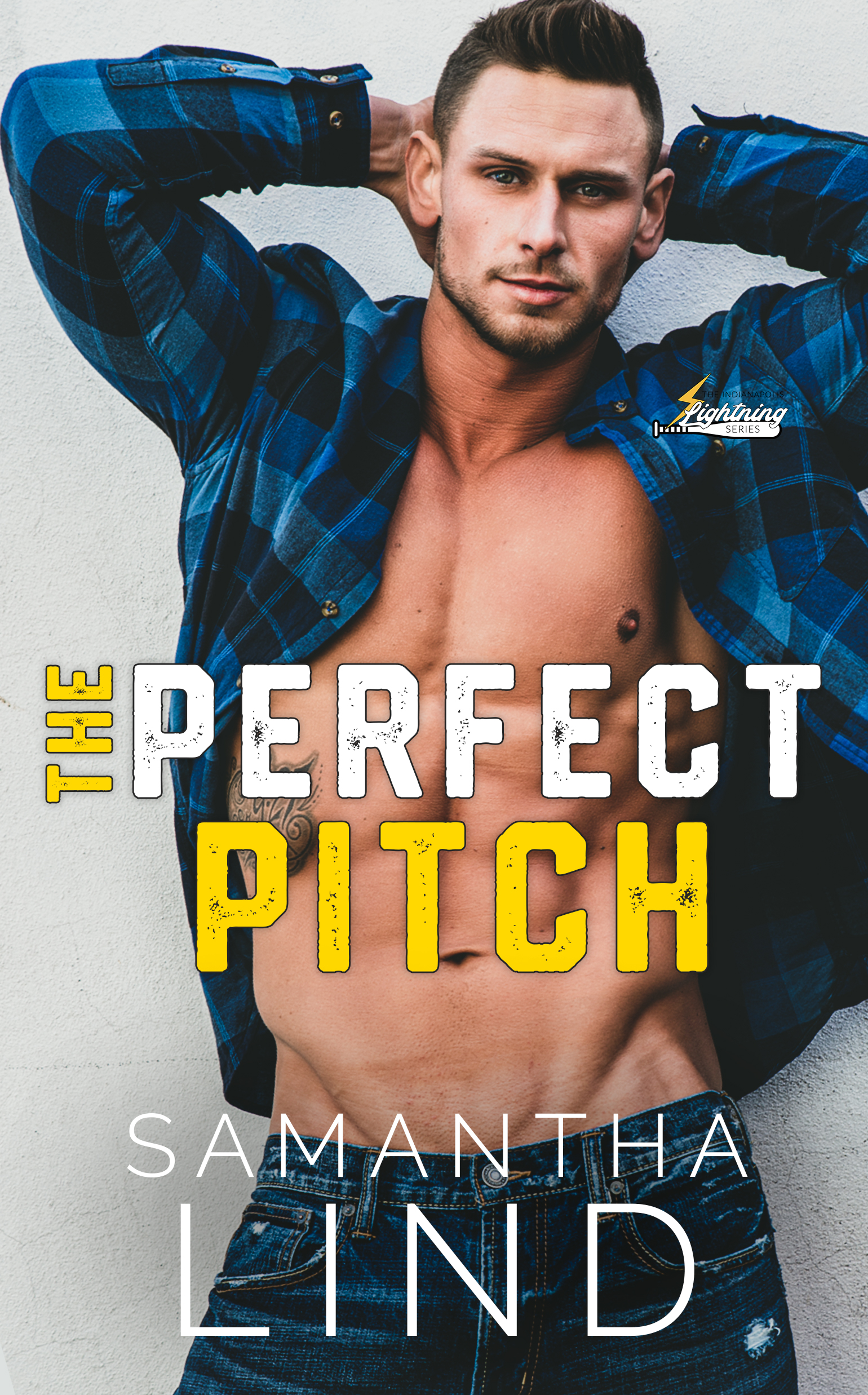 The Perfect Pitch (Indianapolis Lightning, #1)