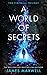 A World of Secrets (The Firewall Trilogy, #2) by James Maxwell