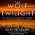 The Wolf at Twilight: An Indian Elder's Journey Through a Land of Ghosts and Shadows