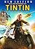 Tintin and the Secret of th...