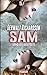 Sam: Der Preis - Ein packender SM-Thriller (Die Abenteuer der bemerkenswerten Sam Coen 3) (German Edition)
