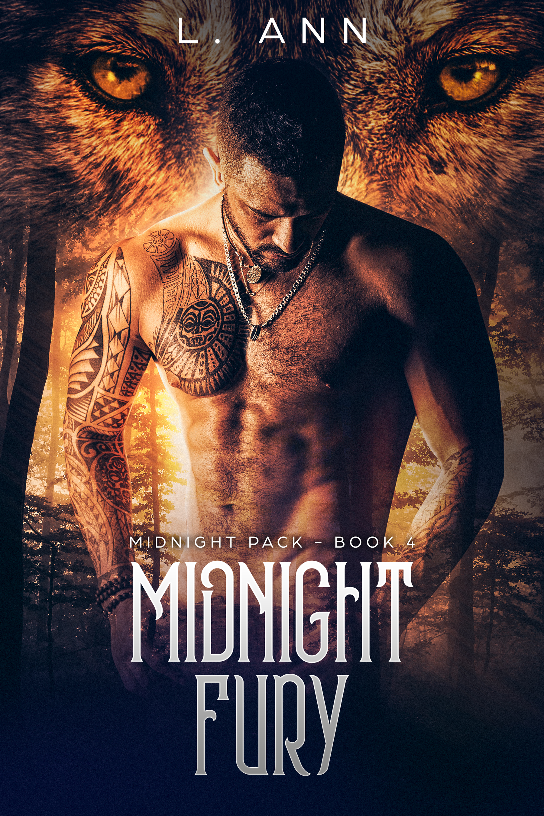 Read Online Midnight Fury Midnight Pack 4 Midebooks S Diary