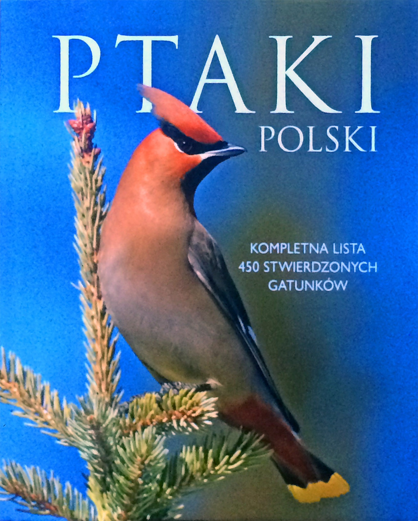 Ptaki Polski. Kompletna lista 450 stwierdzonych gatunków