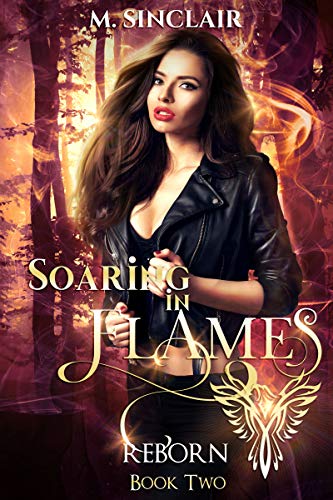 Soaring in Flames (Reborn #2)