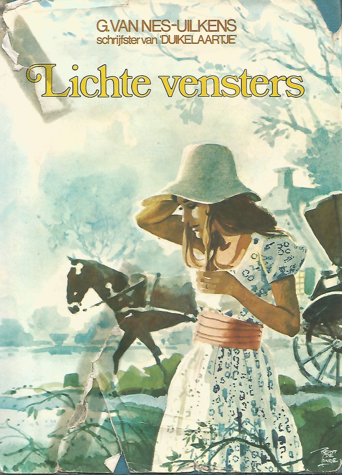 Lichte Vensers (Hardcover)