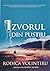Izvorul din Pustiu by Rodica Volintiru