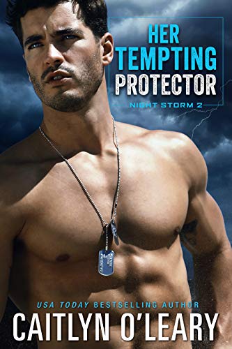 Her Tempting Protector (Night Storm, #2)
