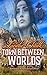 Torn Between Worlds by Linda Chalk