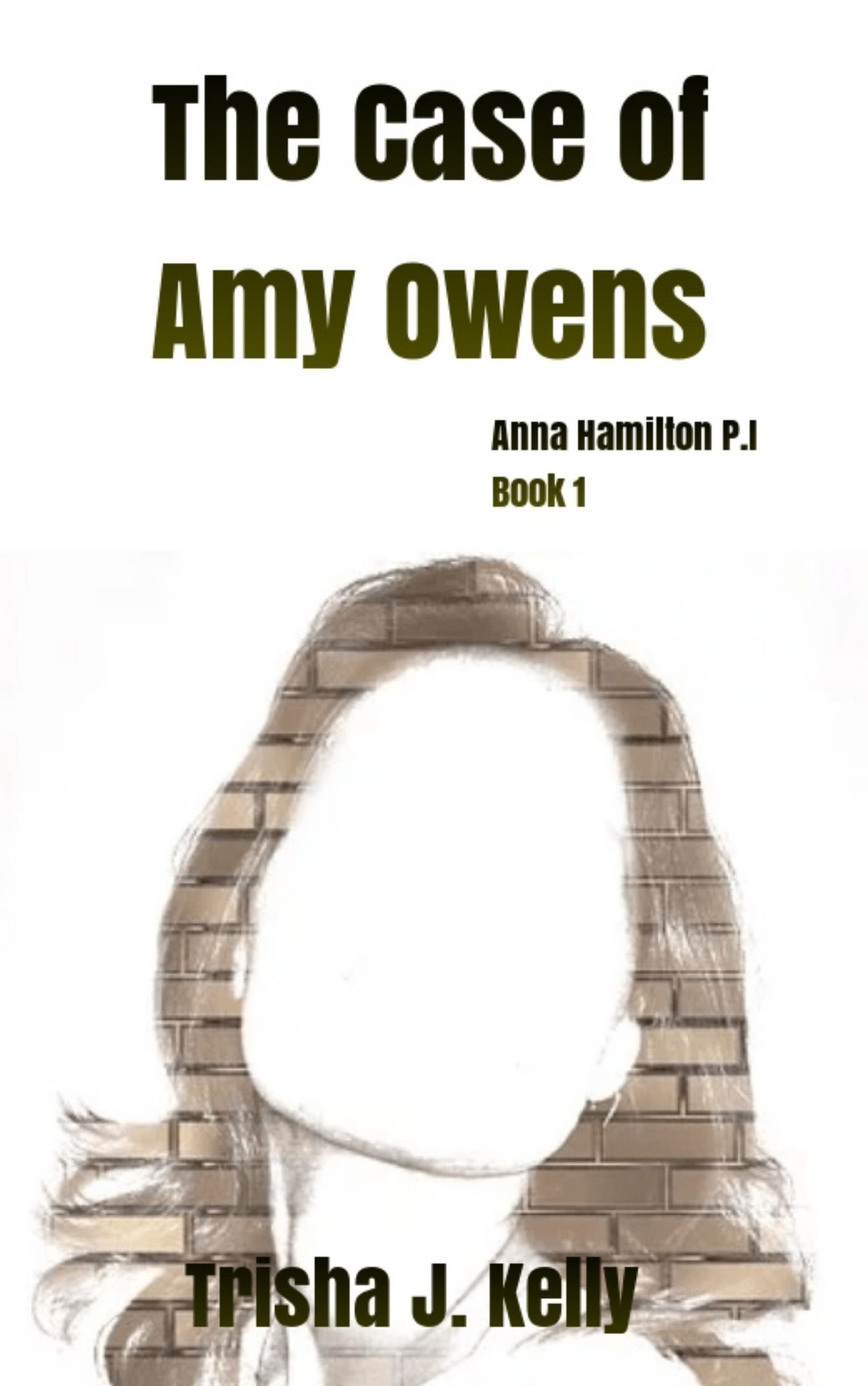 The Case of Amy Owens: Anna Hamilton Mysteries