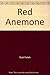 Red Anemone