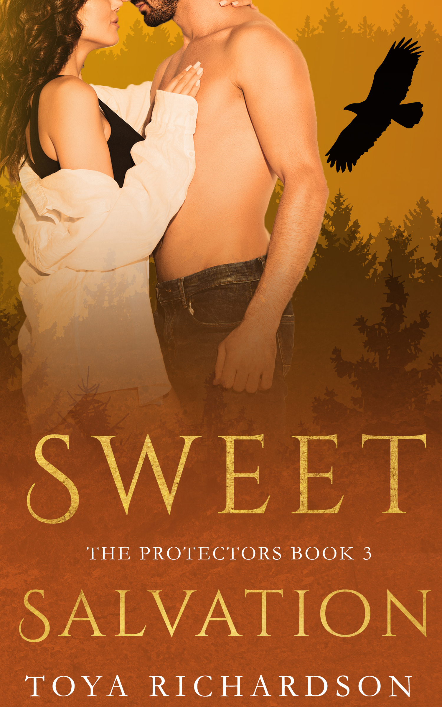 Sweet Salvation (The Protectors, #3)