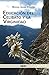 Educación del Celibato y la Virginidad by Miguel Fuentes