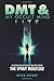 DMT & My Occult Mind - LITE: Investigation of Occult Realities Using the Spirit Molecule