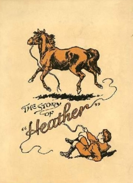 The Story of Heather