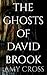 The Ghosts of David Brook