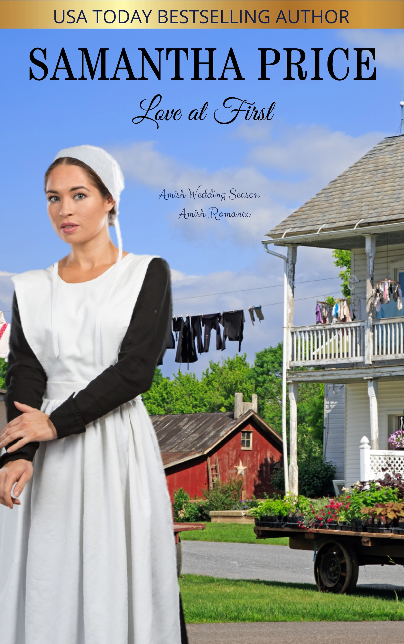 Love at First (Amish Wedding Season #2)
