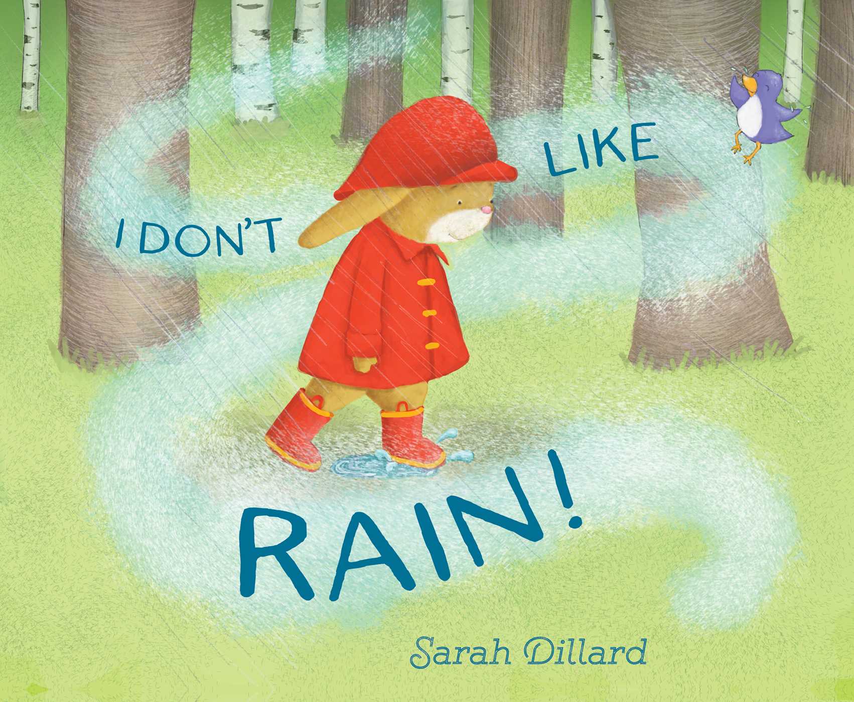 I Don't Like Rain! (Hardcover)