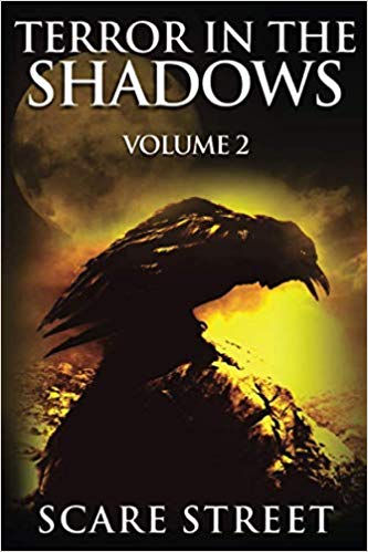Terror in the Shadows: Volume 2