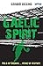 Gaelic Spirit: Field of Dreams ... Home of History (Rugby Spirit Book 7)
