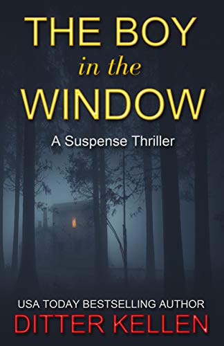 The Boy in the Window