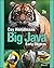 Big Java: Early Objects, 7th Edition