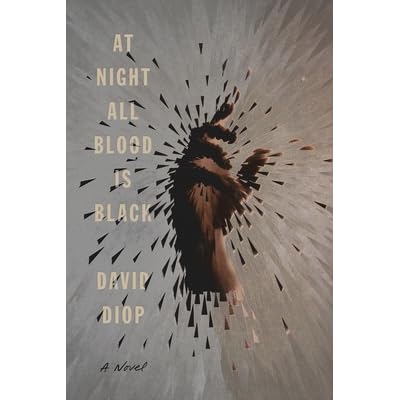 At Night All Blood Is Black By David Diop