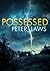 Possessed (Matt Hunter, #4)
