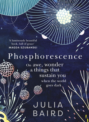 Phosphorescence: On Awe, Wonder and Things That Sustain You When the World Goes Dark (ebook)