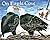 On Eagle Cove by Jane Yolen