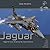 Sepecat Jaguar: Aircraft in...