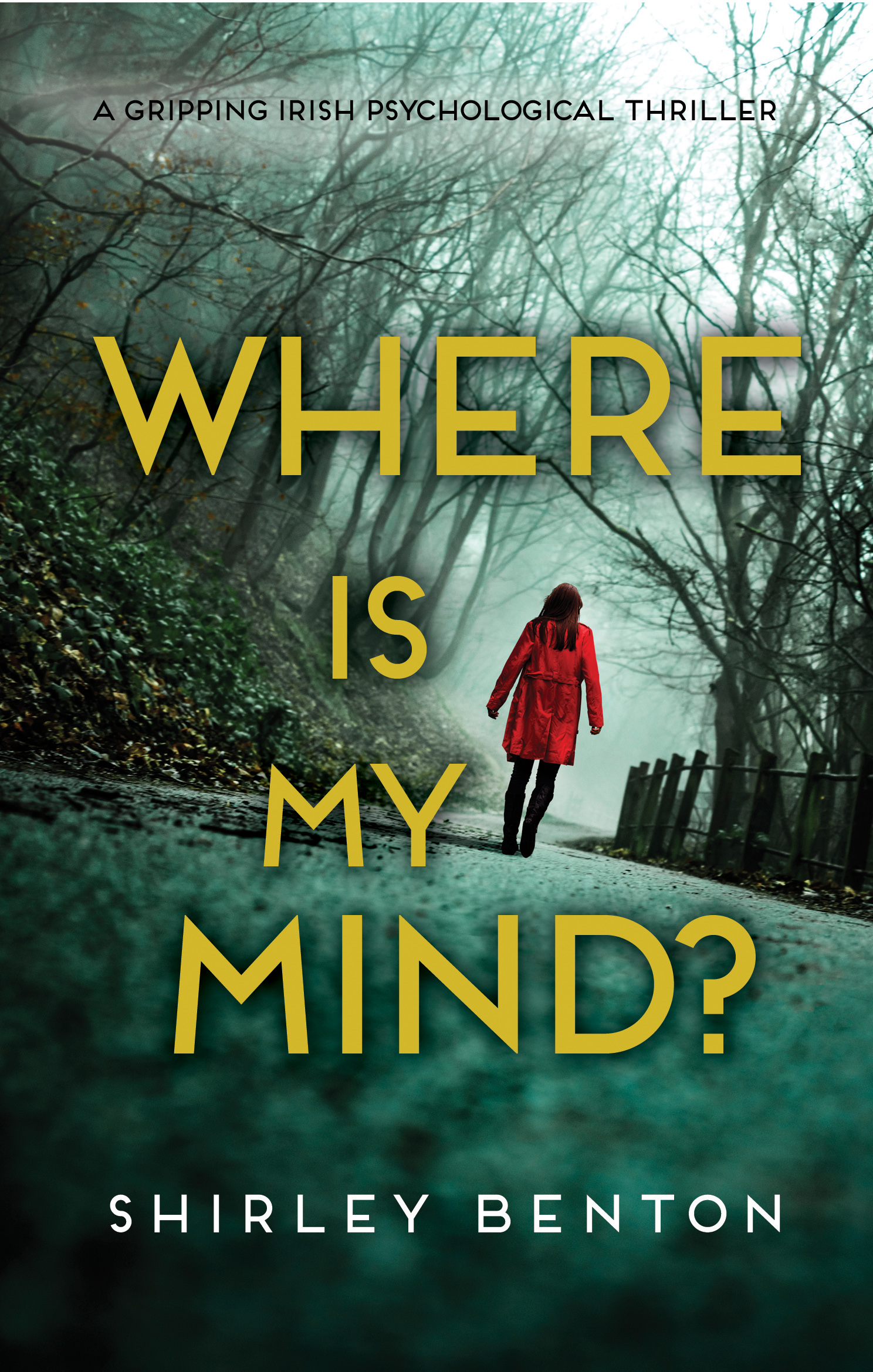 Where is My Mind?