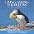 Living Among the Puffins on Skellig Michael